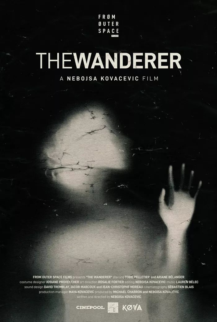 Affiche du film the wanderer