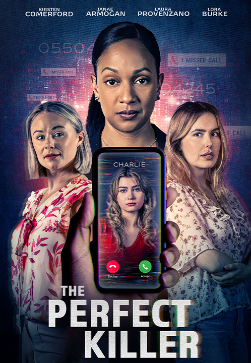 Affiche du film the perfect killer